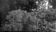 Katherine Nt 1942